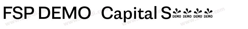 FSP DEMO   Capital S字体转换
